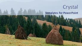  Presentation with dry forest - Slide deck enhanced with hills-in-the-mountain-village background and a sky blue colored foreground