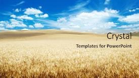  Presentation with tuscany - Beautiful presentation featuring hills of barley in tuscany backdrop and a lemonade colored foreground