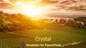  Presentation with grape - PPT theme enhanced with hills with vineyard - grape field background and a tawny brown colored foreground