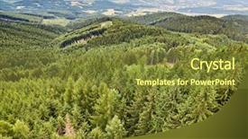  Presentation with pine trees - Beautiful PPT theme featuring hilly - forest landscape with tall pine backdrop and a tawny brown colored foreground