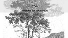  Presentation with tall - Theme enhanced with hilly-landscape-with-tall-trees background and a light gray colored foreground