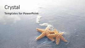  Presentation with starfish - Colorful slide set enhanced with hilton - pair of starfish backdrop and a white colored foreground