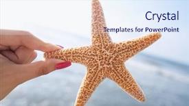  Presentation with starfish - Beautiful PPT layouts featuring all star - woman holding starfish backdrop and a sky blue colored foreground