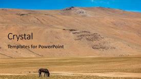  Presentation with forage - Audience pleasing slide deck consisting of forage crops - horse grazing in himalayas ladakh backdrop and a coral colored foreground