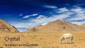  Presentation with white horse - Audience pleasing presentation design consisting of himalayas ladakh jammu and kashmir backdrop and a yellow colored foreground