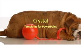  Presentation with english alphabet set in old - Beautiful presentation theme featuring hindrance - ball and chain - english backdrop and a tawny brown colored foreground