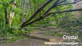  Presentation with storm - PPT theme with hindrance - big tree fallen on country background and a tawny brown colored foreground