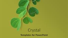  Presentation with headline - Cool new theme with hindu festival dassehra greeting card backdrop and a gold colored foreground