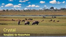  Presentation with scenic - Slides enhanced with hippo-antelopes-and-buffalo background and a tawny brown colored foreground