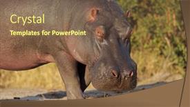  Presentation with africa - 