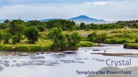 Presentation with africa tourism - Theme with hippopotamus-is-the-most-dangerous background and a  colored foreground