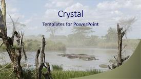  Presentation with serengeti africa - PPT theme with hippos in river in serengeti background and a sky blue colored foreground