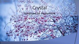  Presentation with ice frozen - Theme with hips frozen ice with icicles background and a light blue colored foreground