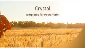  Presentation with african sunset - PPT theme with hips in field of barley background and a cream colored foreground