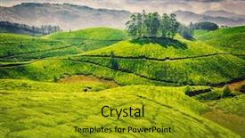  Presentation with munnar - Theme enhanced with hipster style image of green background and a gold colored foreground