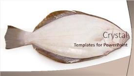  Presentation with flatfish - Colorful slide set enhanced with hirame-japanese-flatfish-back-side backdrop and a lemonade colored foreground