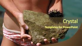  Presentation with rock - Slides enhanced with hirl holding a sea hedgehog background and a  colored foreground
