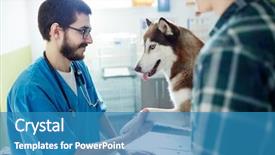  Presentation with paw - Slide deck with husky dog giving paw background and a teal colored foreground