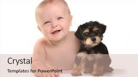  Presentation with cute baby - Beautiful presentation theme featuring his pet teacup yorkie puppy backdrop and a soft green colored foreground