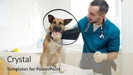  Presentation with funnel - Colorful slide set enhanced with his sick patient with funnel backdrop and a soft green colored foreground