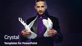  Presentation with doves - PPT theme featuring his trained white dove background and a wine colored foreground