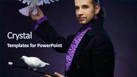  Presentation with doves - Presentation theme featuring his trained white dove background and a wine colored foreground