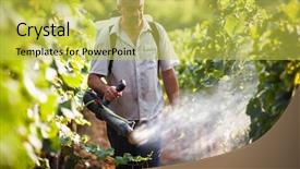 Presentation with chemicals - Beautiful slide deck featuring his vineyard spraying chemicals backdrop and a yellow colored foreground
