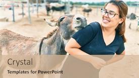  Presentation with farm - Presentation design with hispanic-woman-playing-with-donkey background and a soft green colored foreground