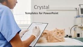  Presentation with medical clipboard - Presentation with hispanic-woman-working-in-veterinary background and a light gray colored foreground