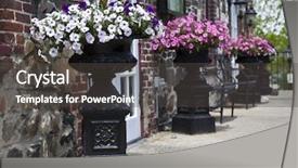  Presentation with savannah - Presentation with historic area of savannah background and a dark gray colored foreground