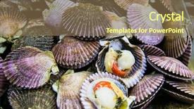  Presentation with capital market - Cool new slides with historical person - fresh seafood for sale backdrop and a coral colored foreground