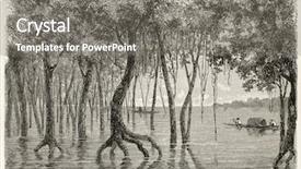 Presentation with flooding - PPT theme having history brazil - amazonas flooding forest old illustration background and a gray colored foreground