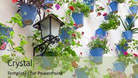  Presentation with cordoba - Theme consisting of history cordoba - blue flowerpots and flowers background and a mint green colored foreground