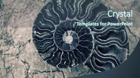  Presentation with evolution - Presentation theme enhanced with history evolution human - antique snail shell background background and a ocean colored foreground