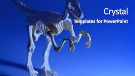  Presentation with evolution - Amazing theme having history evolution human - dinosaur in blue light backdrop and a royal blue colored foreground