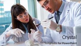  Presentation with animals - Amazing theme having history science - paleontologists looking at bones backdrop and a light blue colored foreground