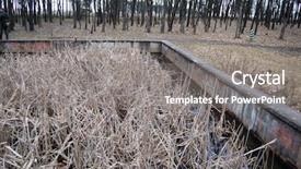  Presentation with secret - Slide set having hitler's secret command post background and a gray colored foreground