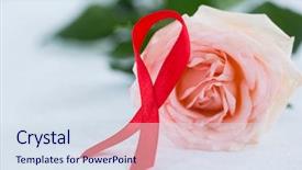  Presentation with red and white rose petals - Slide deck with hiv children - close-up of red aids awareness background and a sky blue colored foreground