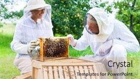  Presentation with frame - Cool new slide deck with hive - beekeeper with smoker controlling beehive backdrop and a coral colored foreground