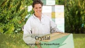  Presentation with portrait of excited overjoyed female - Cool new PPT theme with hive - portrait of confident female beekeeper backdrop and a yellow colored foreground