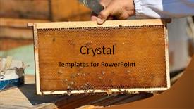  Presentation with honeycomb - Cool new slides with hive - working bees on honeycomb backdrop and a gold colored foreground