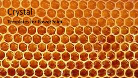  Presentation with honey bee honeycomb - Colorful theme enhanced with hive - yellow beautiful honeycomb with honey backdrop and a gold colored foreground