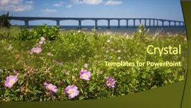  Presentation with flowers - Slide deck featuring hiway - closeup of wild rose flowers background and a tawny brown colored foreground