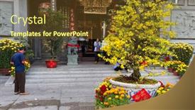  Presentation with hoa - PPT layouts enhanced with ho-chi-minh-ville-vietnam background and a tawny brown colored foreground