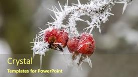  Presentation with winter - Slide set consisting of hoarfrost-in-winter-on-red background and a tawny brown colored foreground