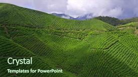  Presentation with cameron highland - Beautiful presentation theme featuring hobbit - cameron highlands backdrop and a tawny brown colored foreground