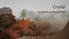  Presentation with foggy forest - PPT theme with hobbit - gran canaria canary islands pine background and a light gray colored foreground