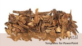  Presentation with root plant - Theme with hog-fennel-root-chinese-herbal background and a coral colored foreground