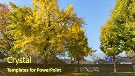  Presentation with korean - Slides enhanced with hogares y medio ambiente - traditional walled korean village homes background and a  colored foreground