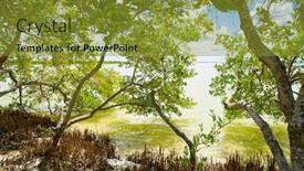  Presentation with island - PPT theme enhanced with holbox-island-beach-mangroove background and a gold colored foreground